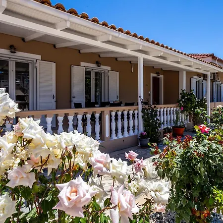 Kotetsi * لاغاناس